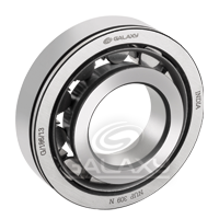 Cylindrical Roller Bearing